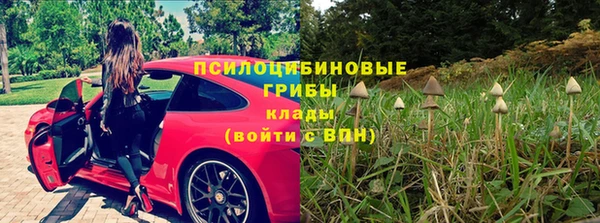 экстази Богородск