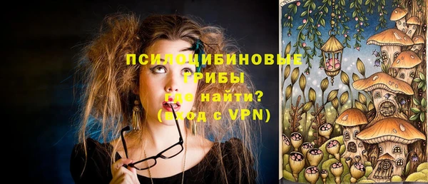 мяу мяу мука Бородино