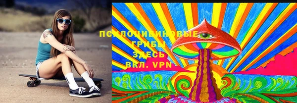 ПСИЛОЦИБИНОВЫЕ ГРИБЫ Бугульма