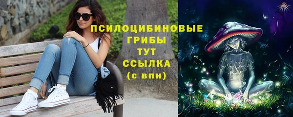 экстази Богородск