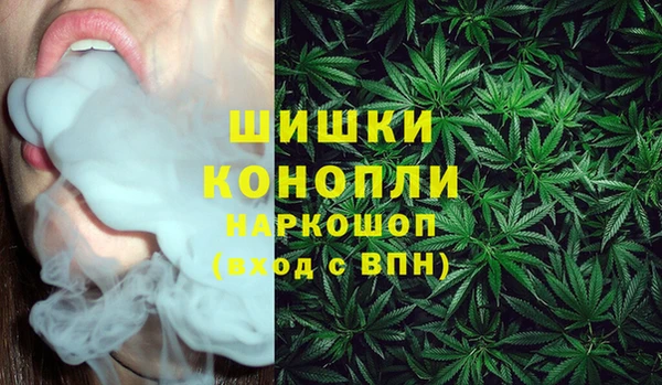 ешки Бронницы