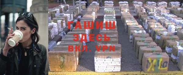 мяу мяу мука Бородино
