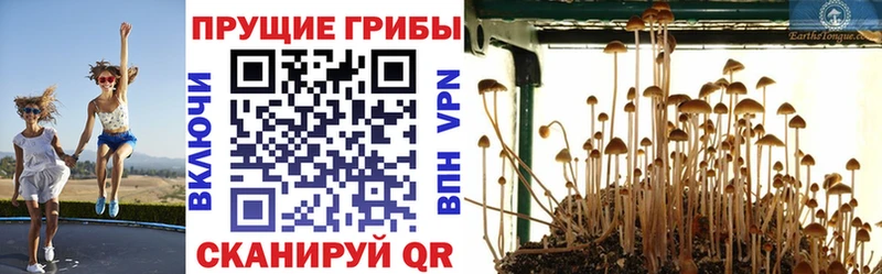 ссылка на мегу онион  купить наркоту  Горняк  Псилоцибиновые грибы мухоморы 